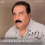 حسن بنی اسدی – دل دیوونه